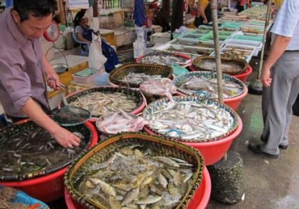 水產品放心吃！多地市場核酸檢測陰性，安全有保障